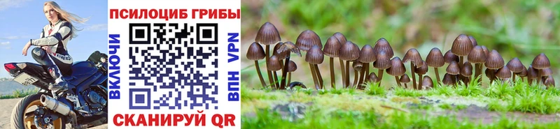 Псилоцибиновые грибы прущие грибы  Курган 