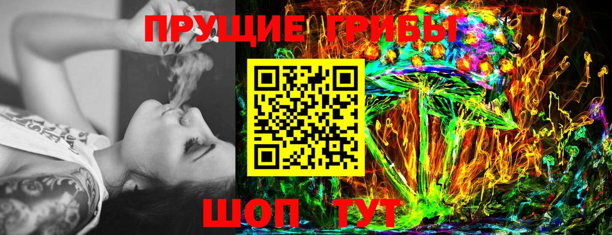 Псилоцибиновые грибы GOLDEN TEACHER  Псилоцибиновые грибы MAGIC MUSHROOMS  дарнет шоп  Курган  Вход с VPN 
