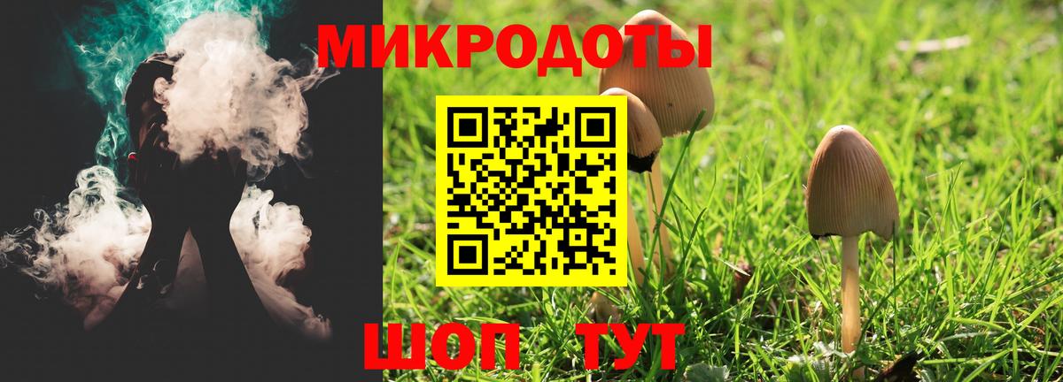 Псилоцибиновые грибы GOLDEN TEACHER Курган